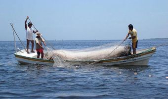Pesca 2