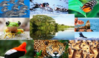 Biodiversidad 3