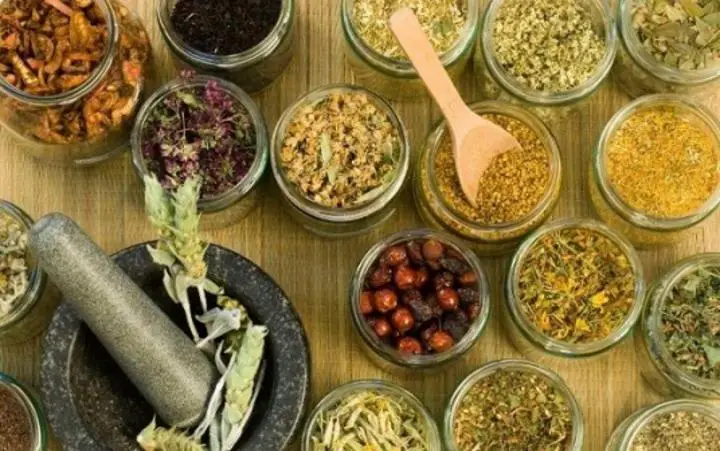 Definicion De Plantas Medicinales Pdf Definicion De Plantas Medicinales Pdf