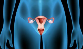 Vagina 2