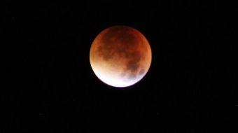 Luna Luna