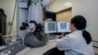 Microscopio-6 Microscopio-6