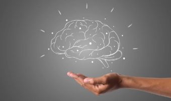 Cerebro 1