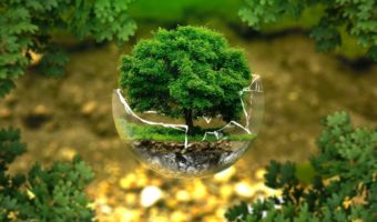 Medio Ambiente 2