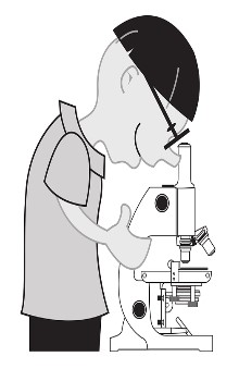 Dibujo en blanco y negro de niño con lentes parado observando a través de un microscopio en un fondo blanco