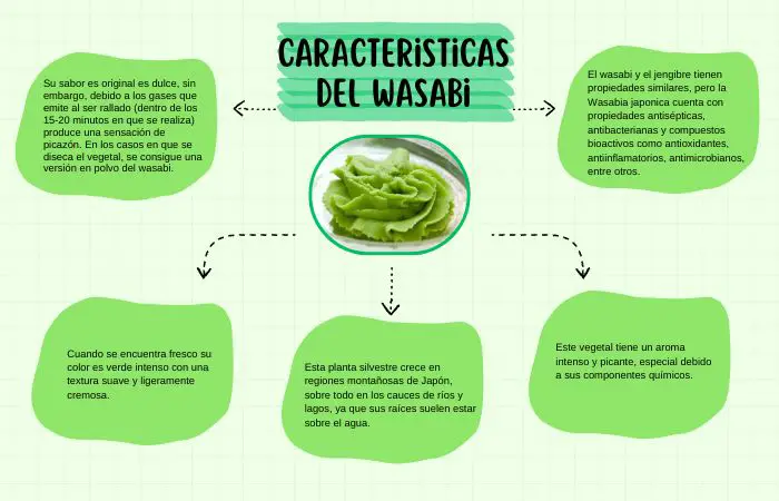 Mapa conceptual sobre las características del wasabi sobre un fondo verde
