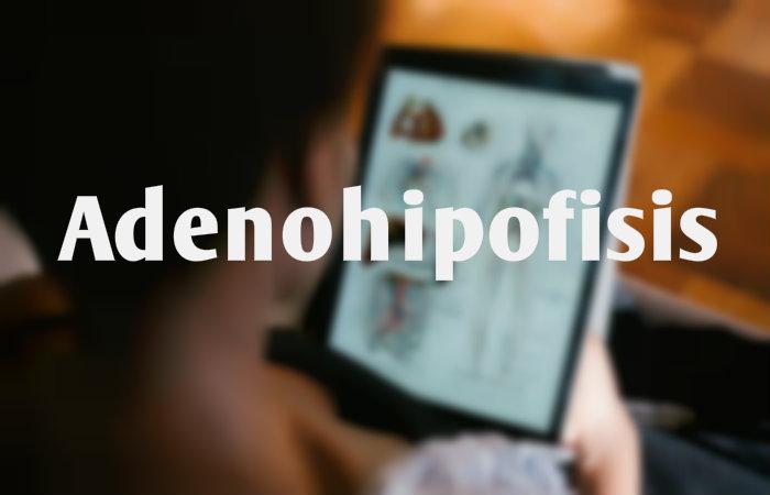 Adenohipofisis