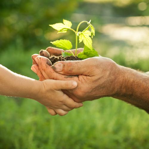 Que Es Valores Familiares Su Definicion Y Significado 2020