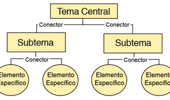 Educación 10