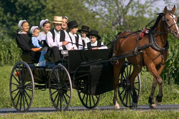 Qué es Amish? » Su Definición y Significado [2021]