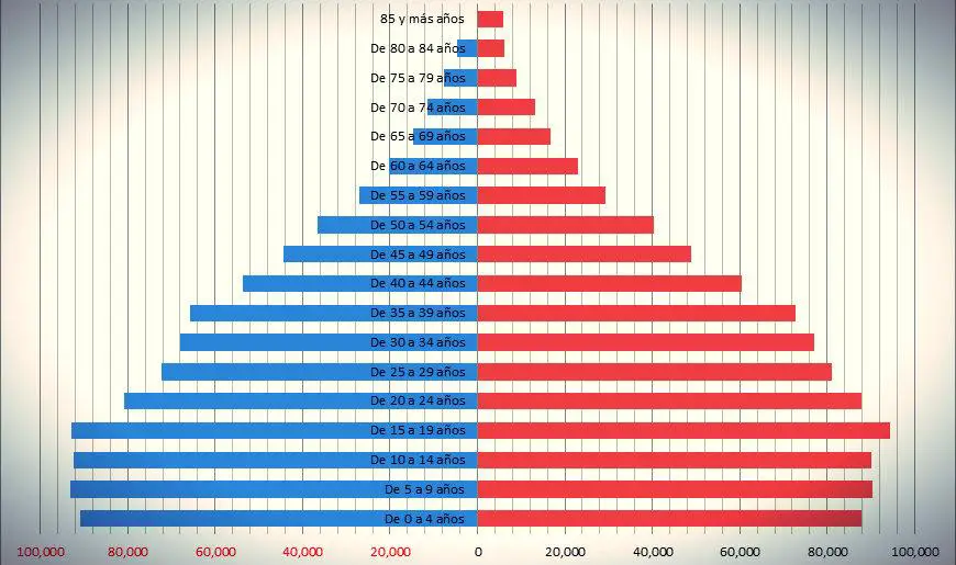 Qué es Pirámide de población Su Definición y Significado