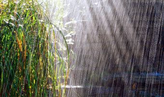 Lluvia 2