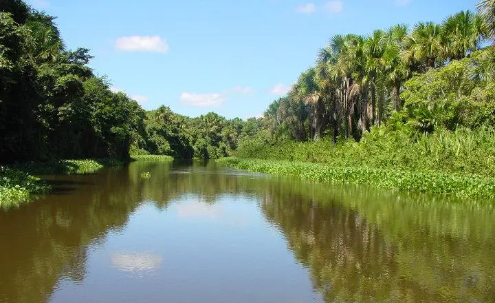 Qué es Río Orinoco? » Su Definición y Significado [2020]