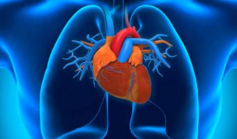 Endocarditis 1