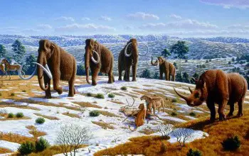 Grupo de mamuts lanudos caminando en paisaje natural mamut