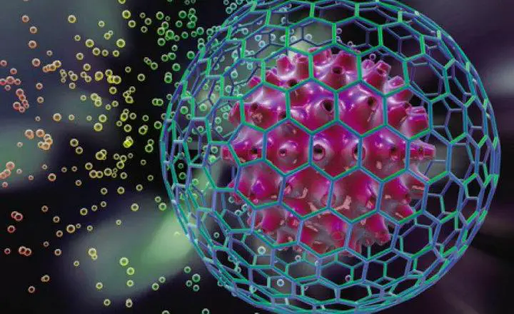 Resultado de imagen para bioquimica