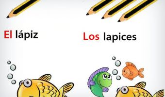 Plural 2