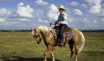 Vaquero 1