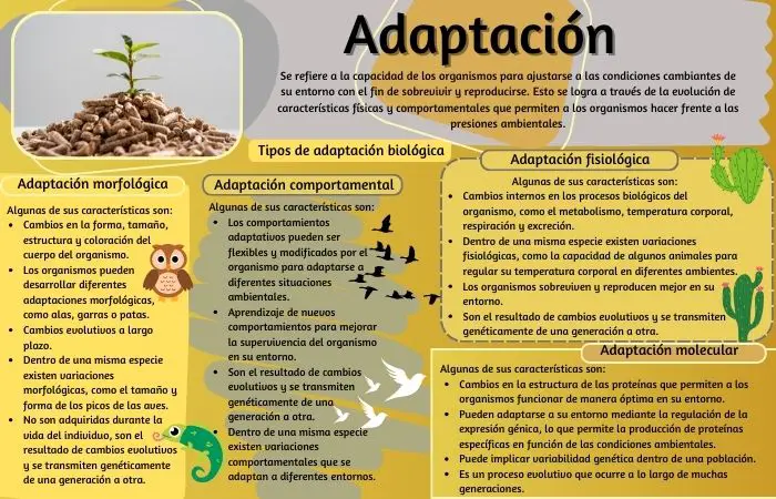 Imagen con concepto de adaptación y tipos de adaptación biológica