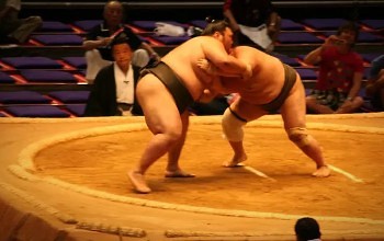dos practicantes de sumo peleando