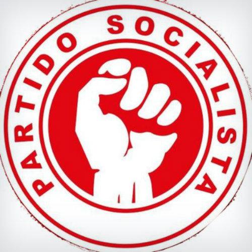 ¿Qué es Partido Socialista? » Su Definición y Significado ...