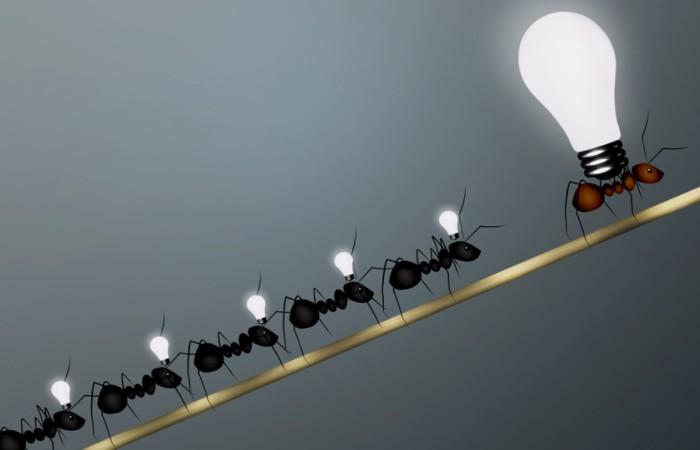 Liderazgo