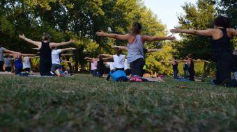 yoga yoga