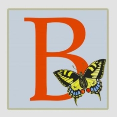 Letra B  mariposa