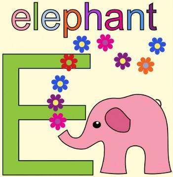 Letra E flores y elefante