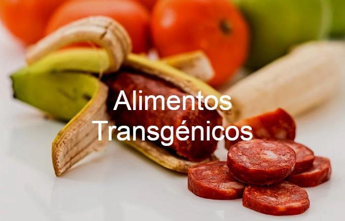 alimentos transgenicos