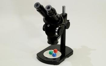 Microscopio y dados