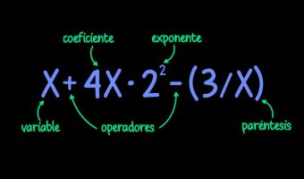 Expresiones Algebraicas 10