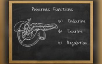 Sistema Endocrino - Función del páncreas