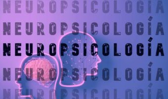 Neuropsicología 3
