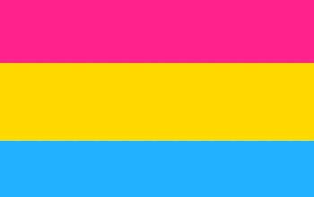 Pansexual 8