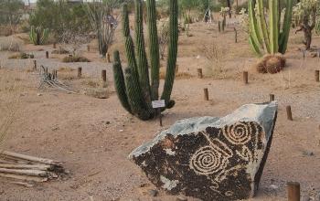 Reserva de la Biosfera El Pinacate y Gran Desierto de Altar