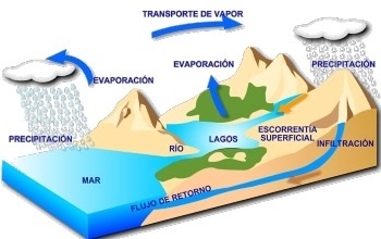 Ciclo del agua 6