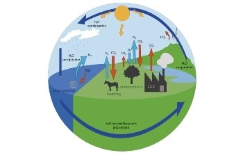 Ciclo del agua 16