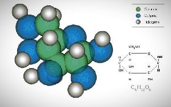 Biomolécula 25