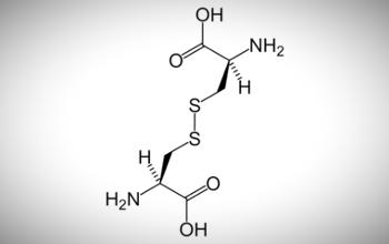 Biomolécula 32