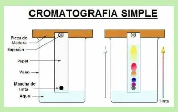Mezclas Homogéneas - Cromatografía