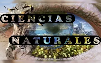 Ciencias Naturales - Características de las ciencias naturales