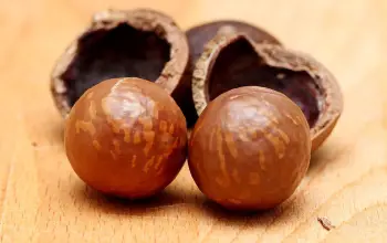 Nuez - Nuez de macadamia