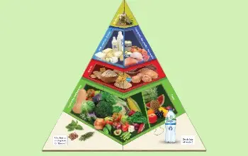 Pirámide Alimenticia 5