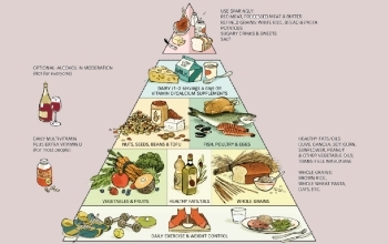 Pirámide Alimenticia 8