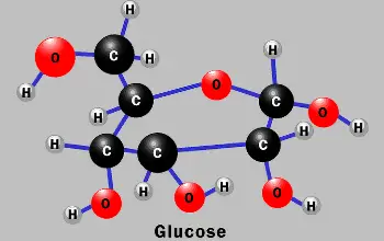 Glucosa - Metabolismo de la glucosa