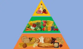 Pirámide Alimenticia 2