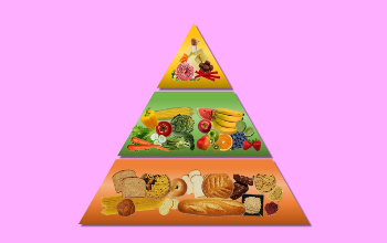 Pirámide Alimenticia - Niveles de la pirámide alimenticia