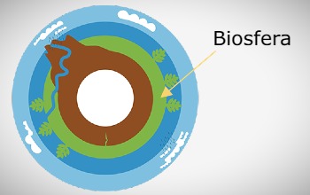 Biosfera - Características