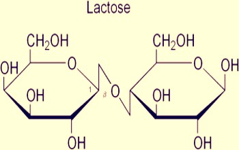 Lactosa - Estructura